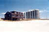 Beach House web.jpg (87426 bytes)